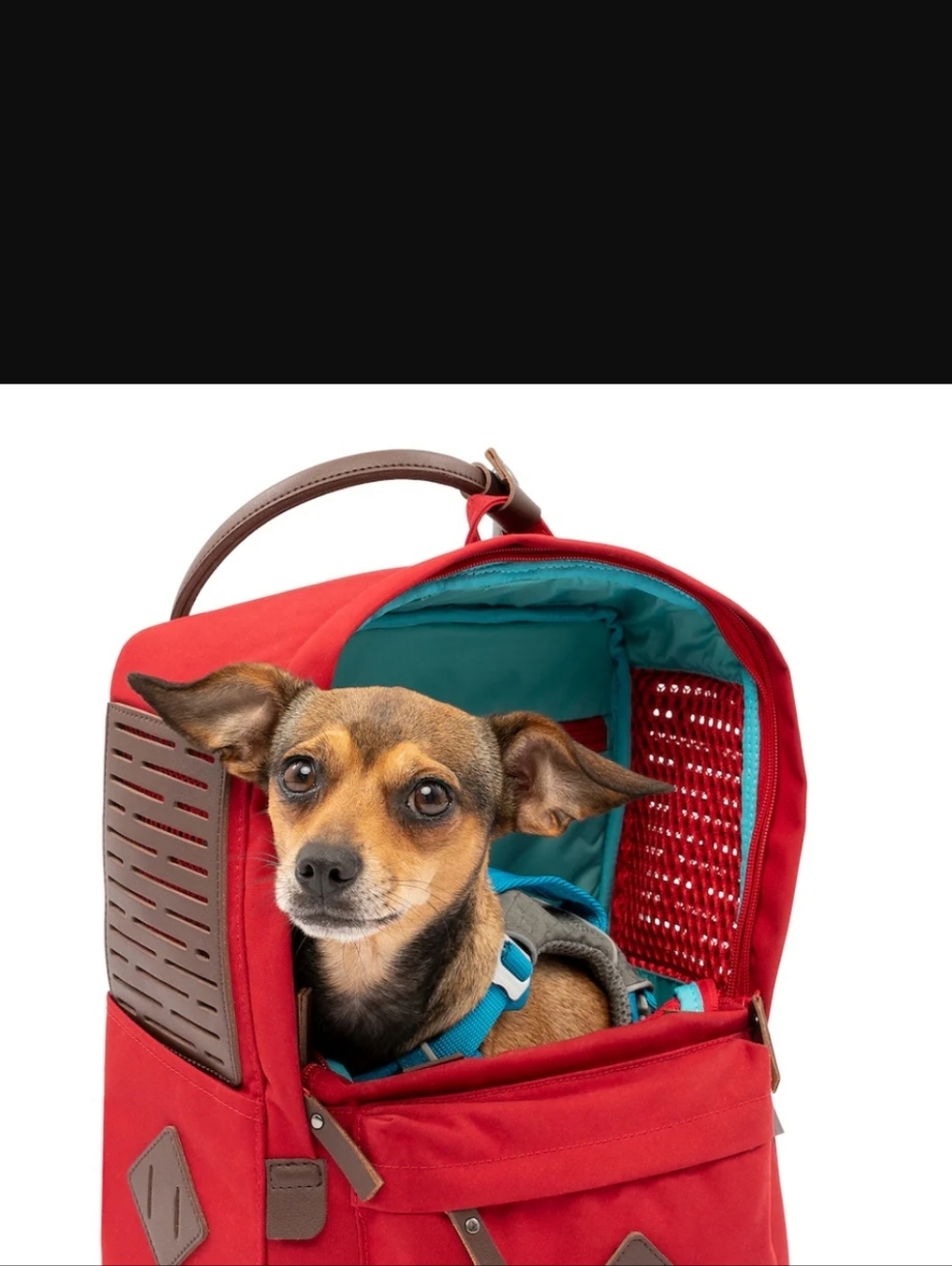 Kurgo Red Pet Backpack with Teal Interior